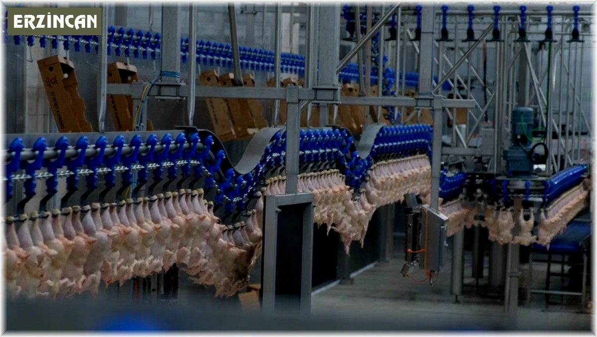 Perakende satış hacmi yıllık yüzde 21,5 arttı