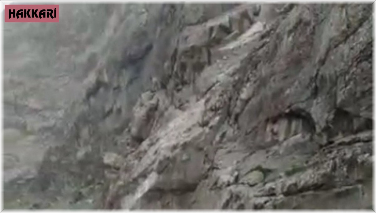 Pesan Deresi'nin debisi karların erimesiyle yükseldi