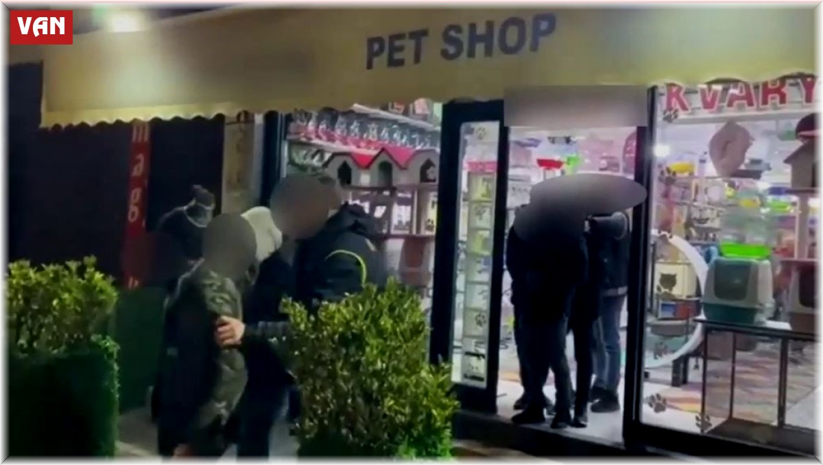Pet shop'ta düzensiz göçmen operasyonu