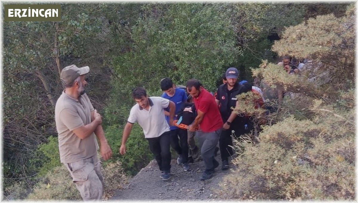 Piknikte ayağı kırılan kadını AFAD ve UMKE 2 kilometre sedyeyle taşıdı