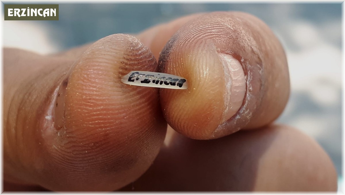 Pirinç tanesi ekmek kapısı oldu