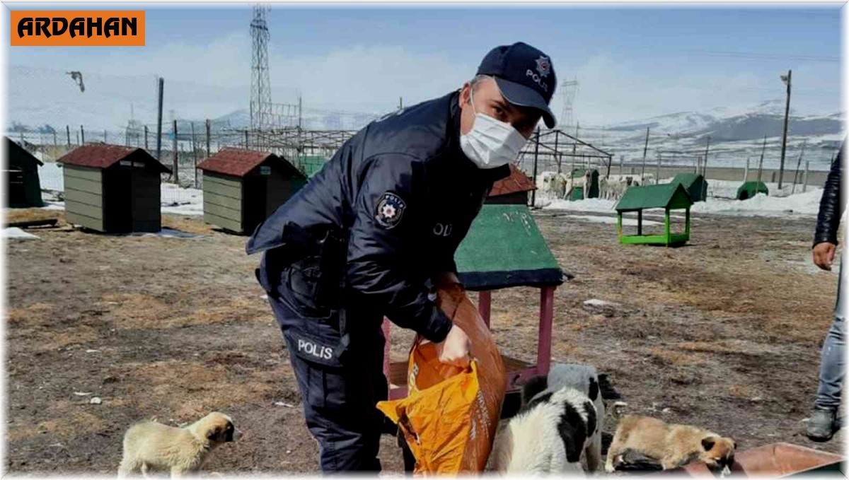 Polis ekipleri sokak hayvanlarını unutmadı