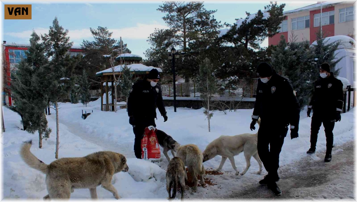 Polis ekiplerinden sokak hayvanlarına şefkat eli