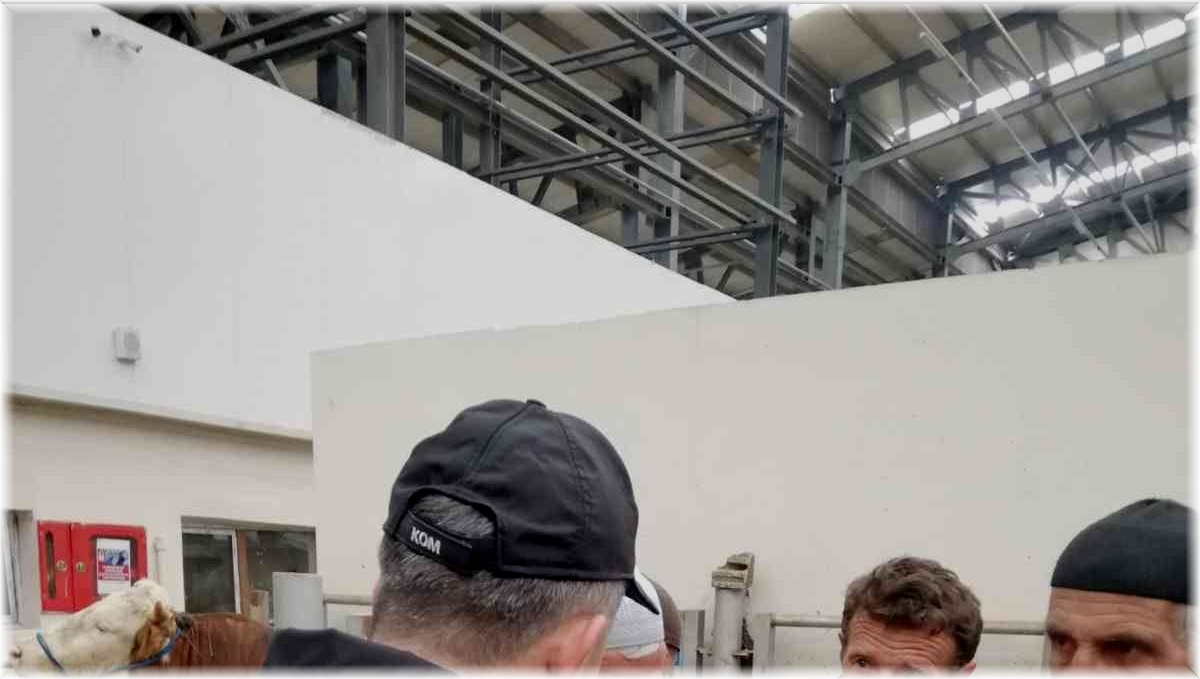 Polis kurban pazarında sahte para konusunda uyardı