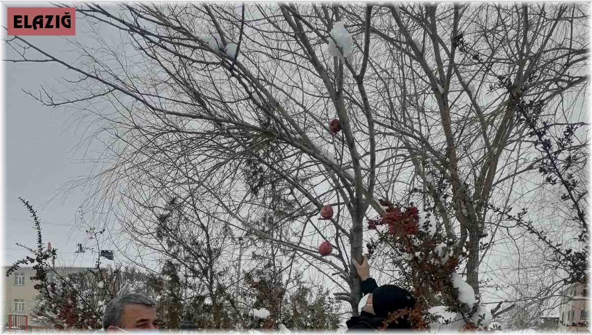 Polis yaban ve sokak hayvanları unutmadı