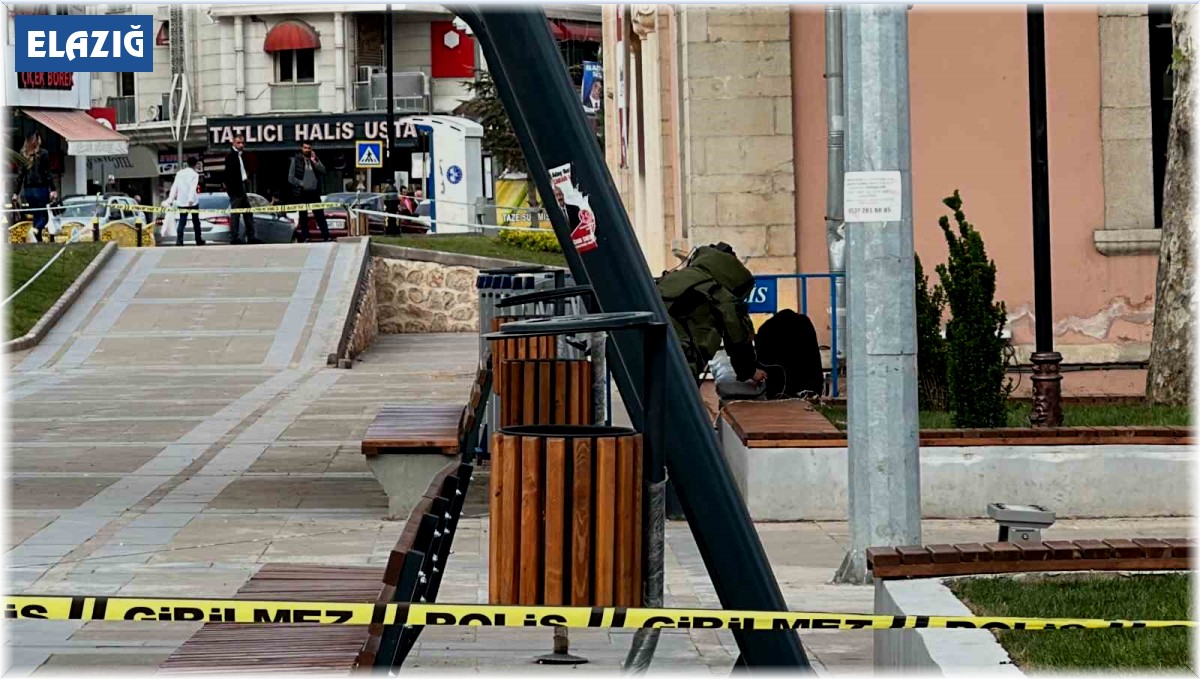 Polisi görünce bırakıp kaçtığı çanta fünyeyle patlatıldı