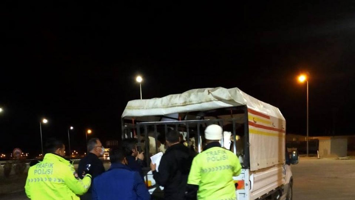 Polisin 'dur' ikazına uymayan araçtan nkile uygun olmayan büyükbaş hayvanlar çıktı