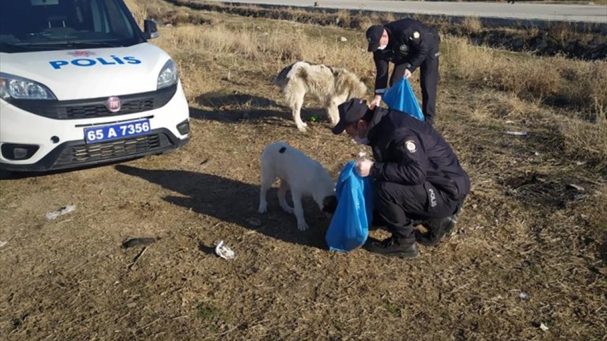 Polisler sokağa çıkma kısıtlamasında sokak hayvanlarını unutmadı