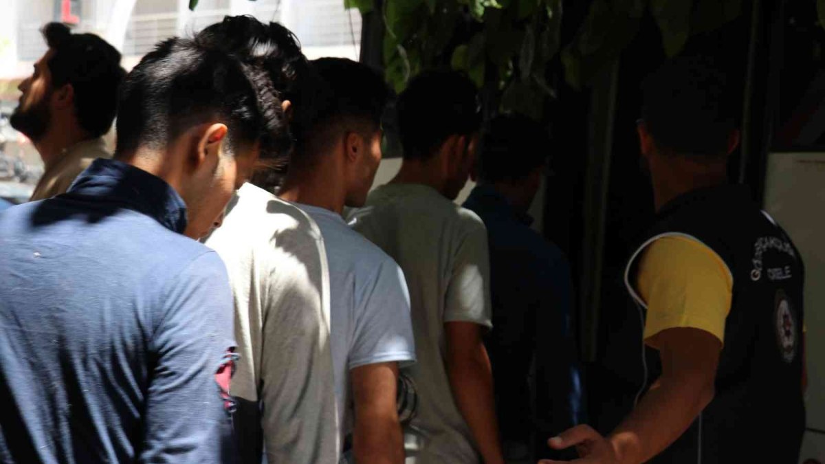 Polisten göçmen kaçakçılığı operasyonu