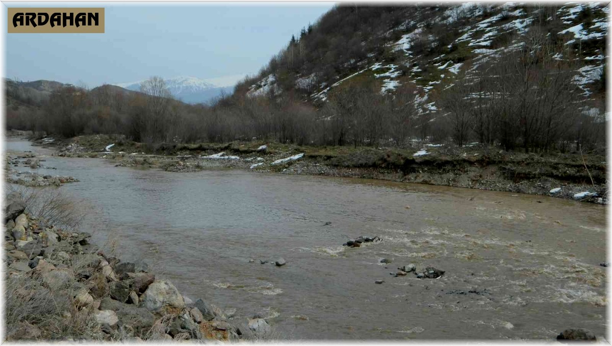 Posof Çayının debisi yükseliyor
