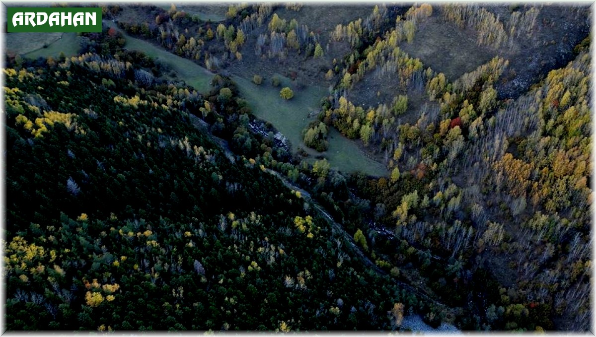 Posof, sonbaharda bir başka güzel