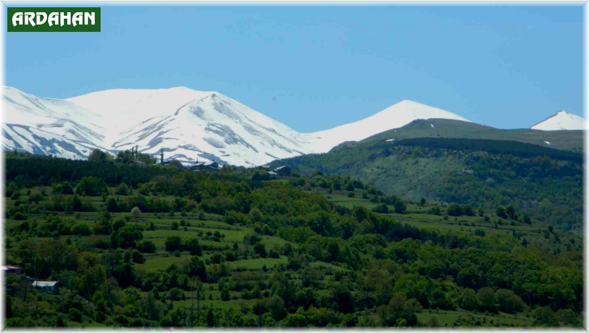 Posof'ta bahar görsel şölene dönüştü