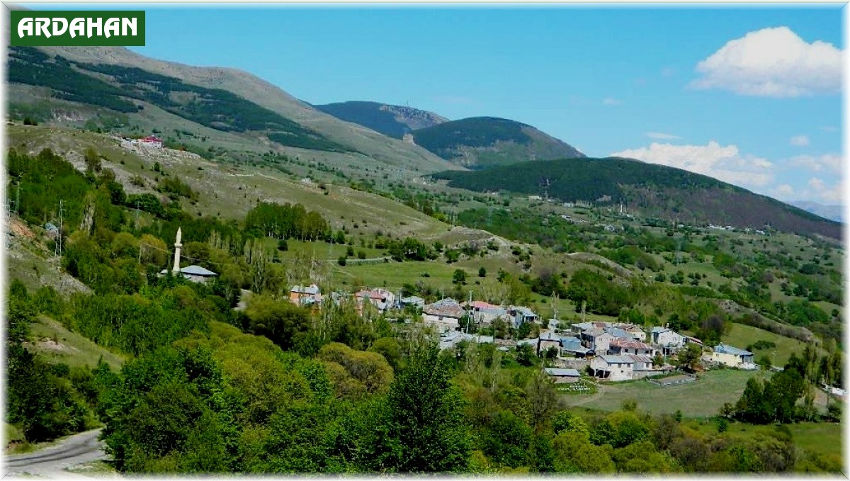 Posof'ta camilere imam talebi