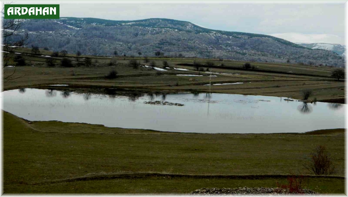 Posof'ta da buzlar çözülüyor