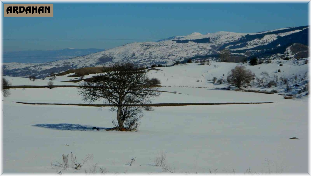 Posof'ta göller dondu
