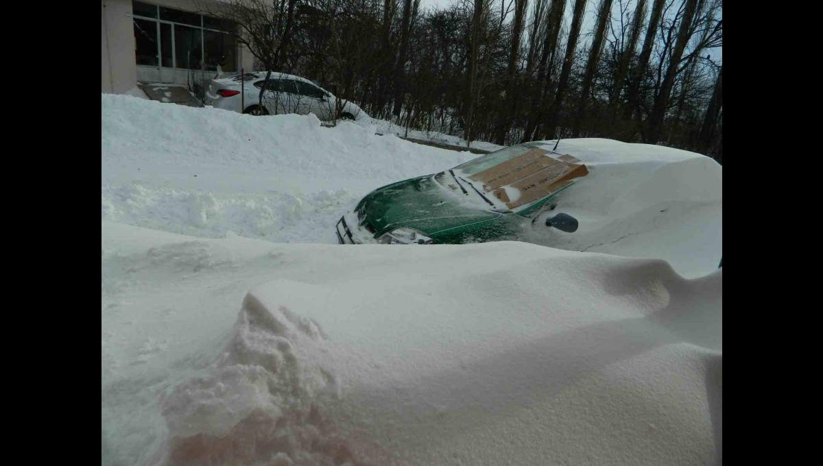 Posof'ta kar hayatı felç etti