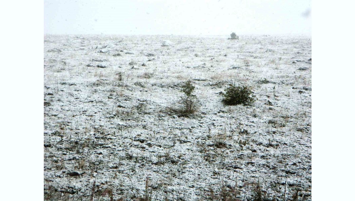 Posof'ta kar yağışı