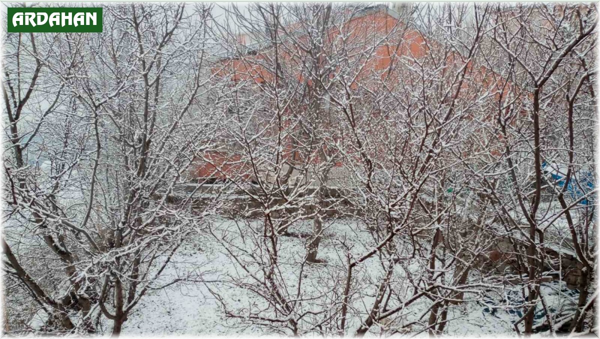 Posof'ta kar yağışı etkili oldu