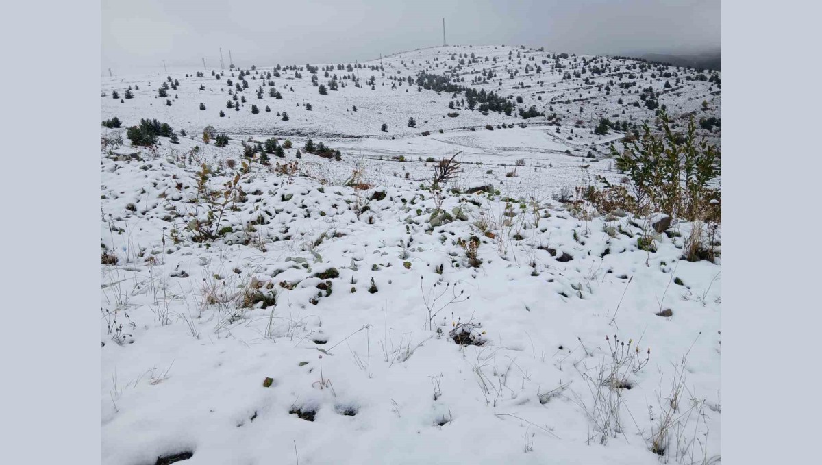 Posof'ta kar yağışı etkili oldu