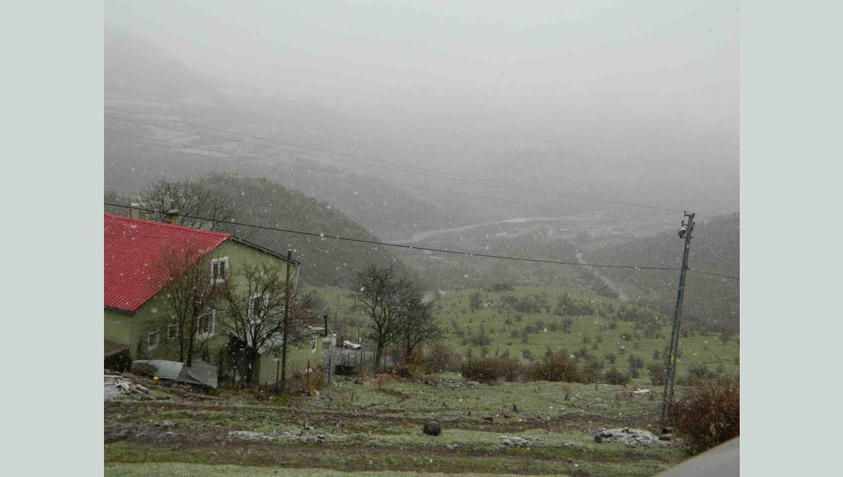 Posof'ta kar yağışı etkili oluyor