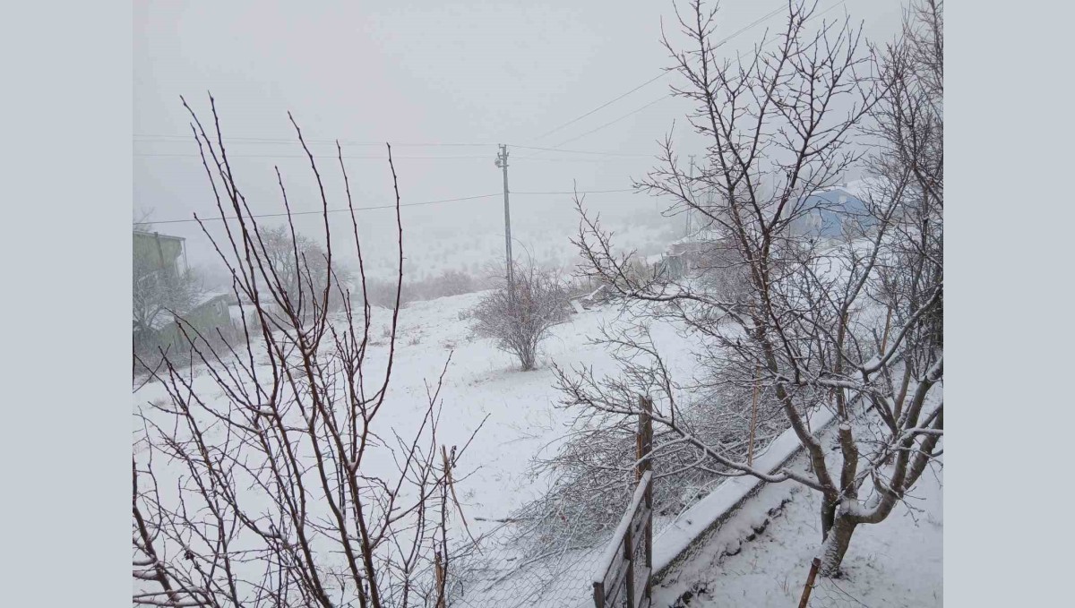 Posof'ta kar yağışı etkili oluyor