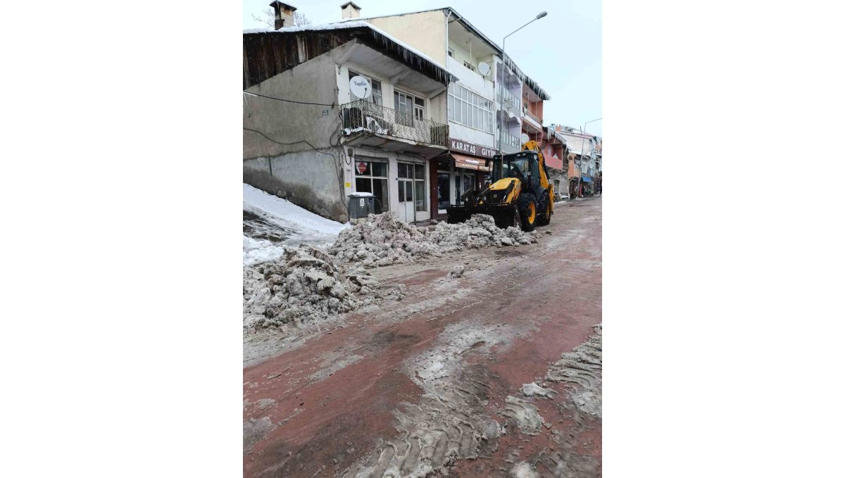 Posof'ta karla mücadele