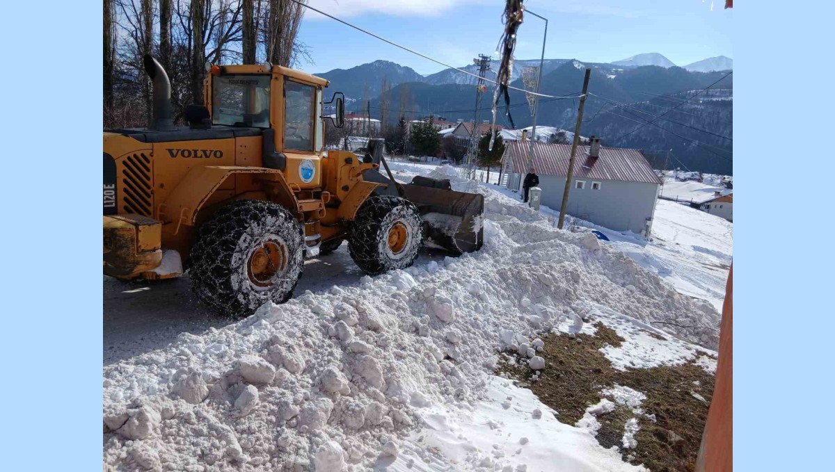 Posof'ta karla mücadele çalışmaları başladı