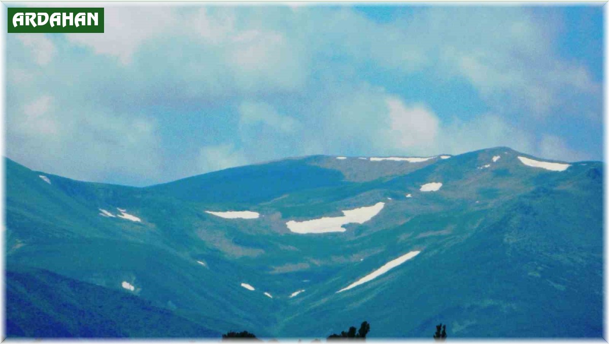 Posof'ta küresel ısınma etkili oluyor