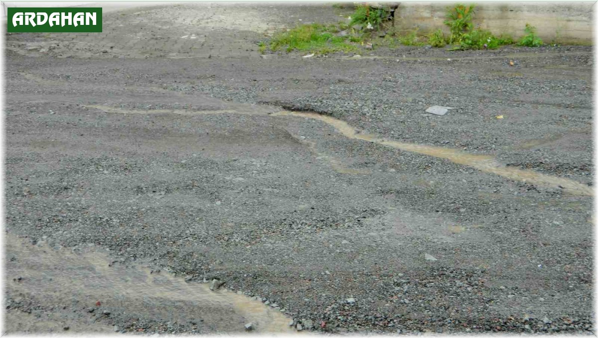 Posof'ta sağanak yağış ve dolu etkili oluyor