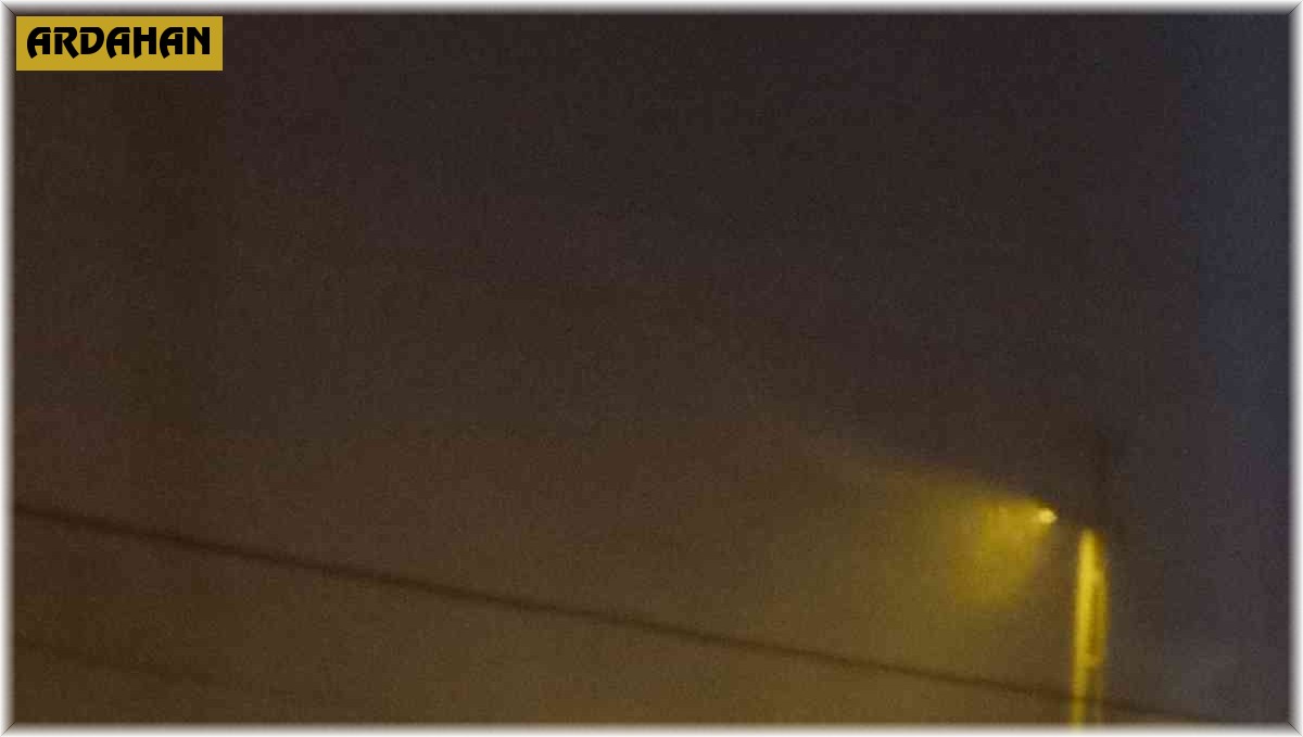 Posof'ta tipi hayatı olumsuz etkiliyor