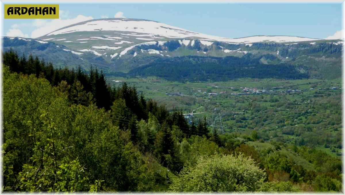 Posof'ta yağmur ve dolu etkili oldu