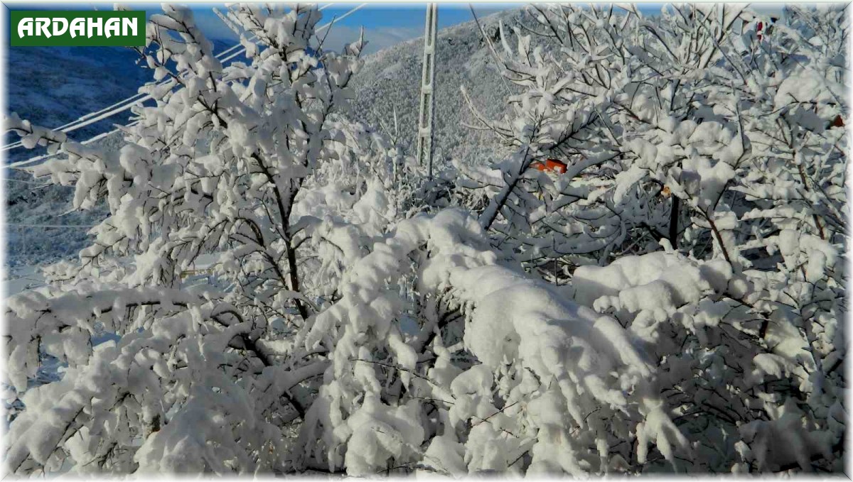 Posof'ta yoğun kar etkili oluyor