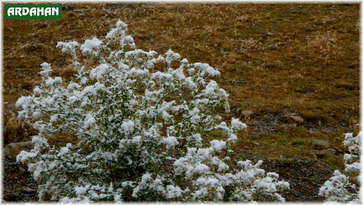 Posof'ta yüksek kesimlere mevsimin ilk karı yağdı