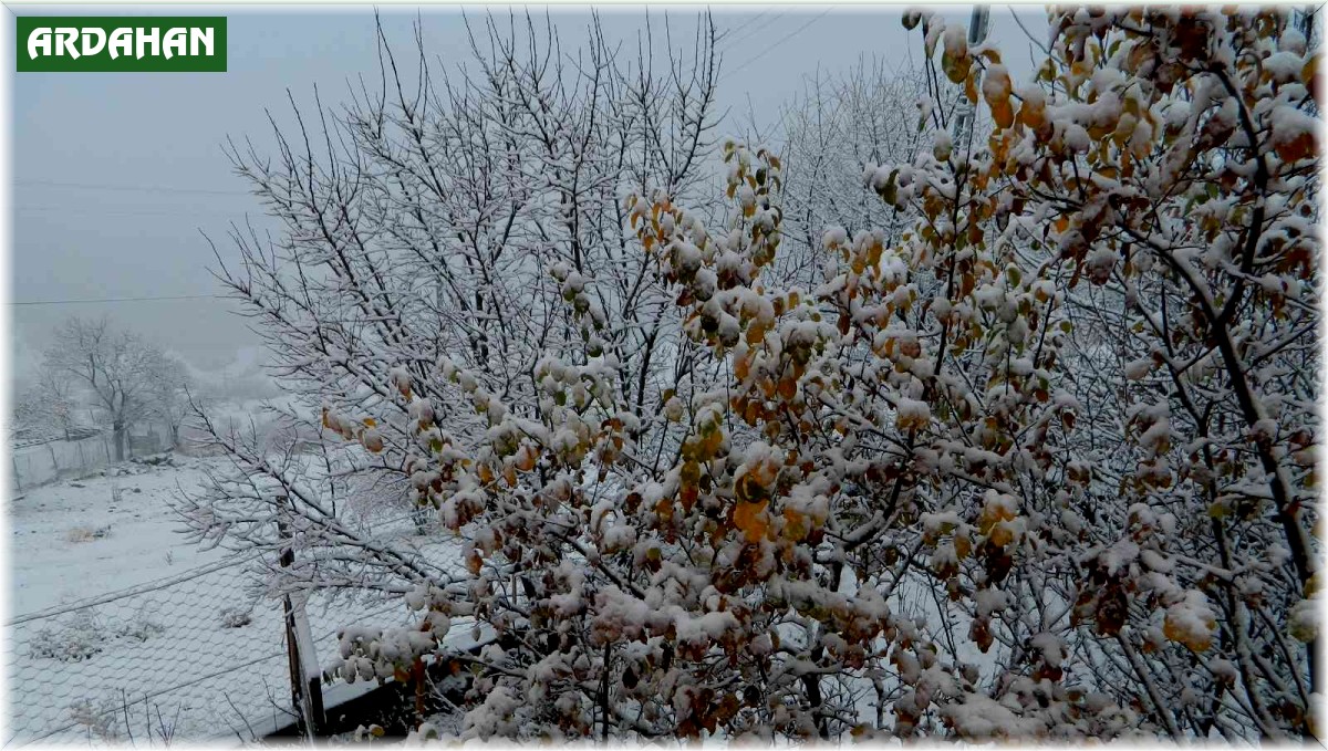 Posof vadisi beyaza büründü