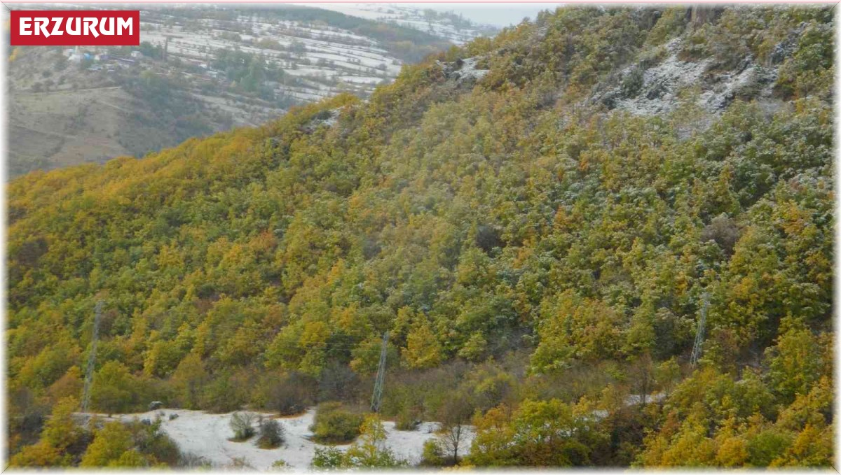 Posof vadisi beyaza büründü