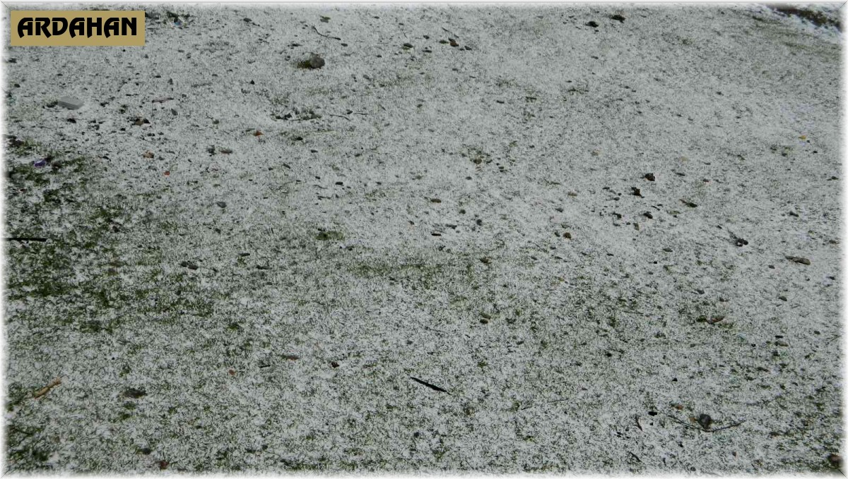 Posof yine beyaza büründü