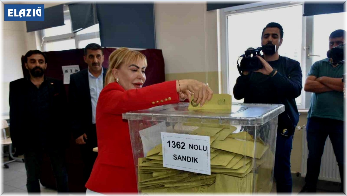 Prof. Dr. Açık, oyunu kullandı