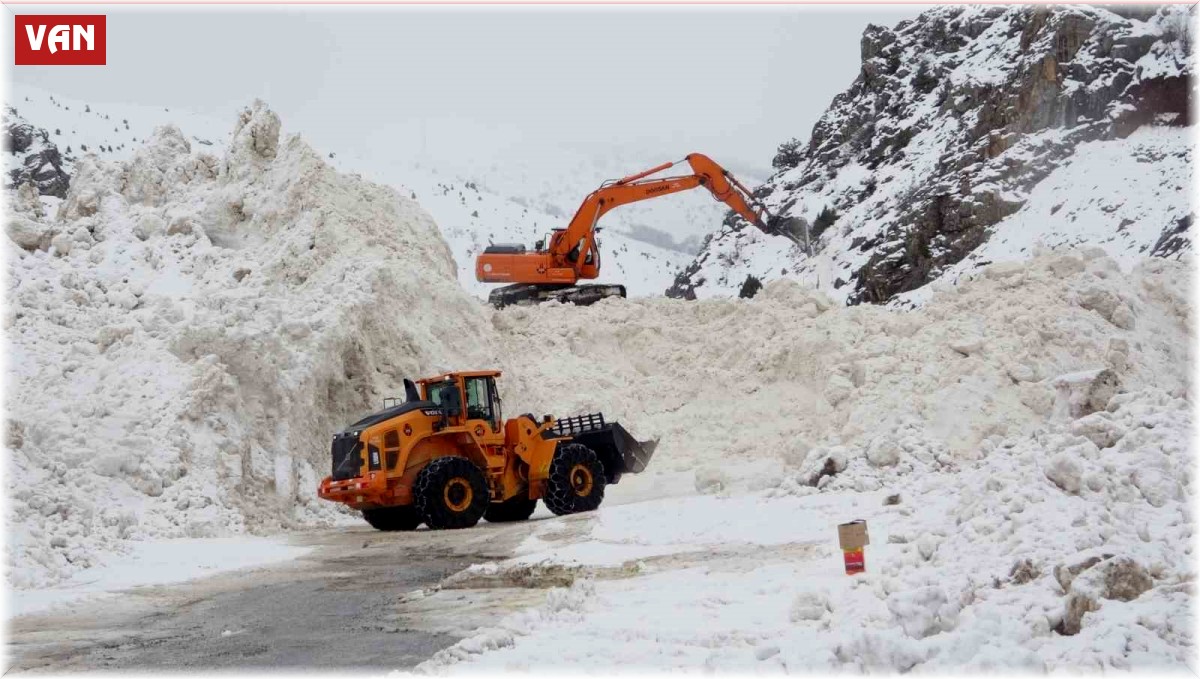 Prof. Dr. Alaeddinoğlu: "Van'daki çığların temel nedeni sulu kar"
