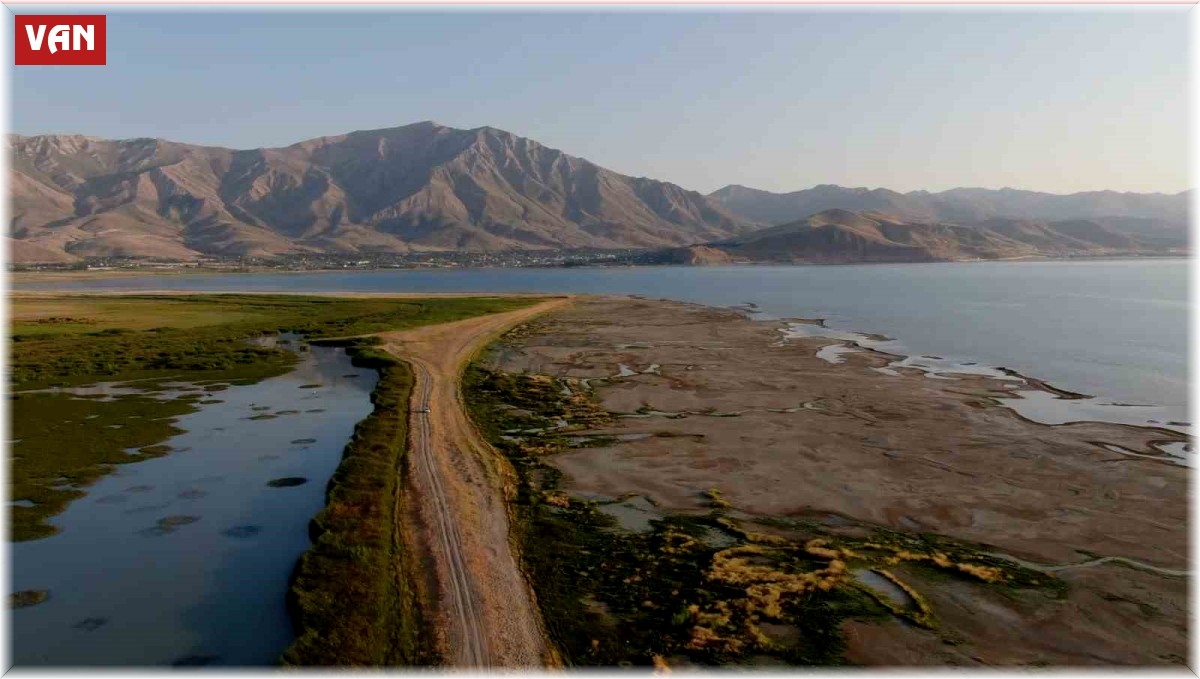 Prof. Dr. Aslan: "Van Gölü'nün sulak alanları yok oluyor"