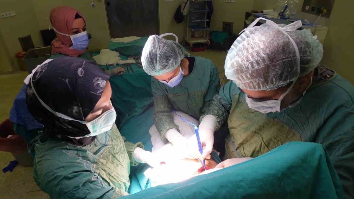 Prof. Dr. Balcı: "Bazı hastalarda komplikasyonun gelişmesinde sigara ve alkol önemli bir risk faktörüdür"