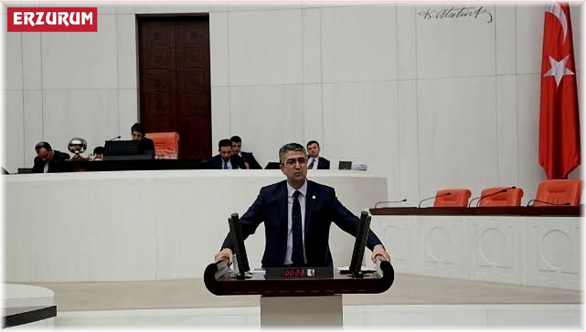 Prof. Dr. Kamil Aydın'ın Meclis'i Erzurum'la aydınlattı