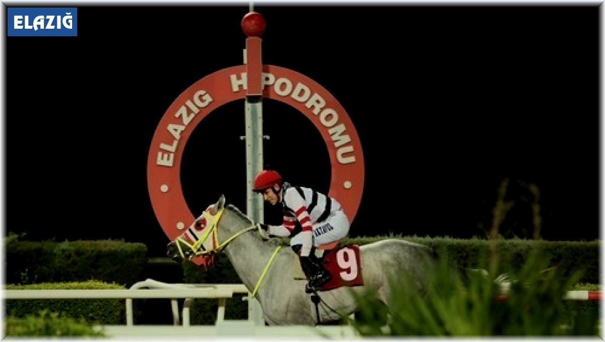 Prof. Dr. Mustafa Temizer Koşusu'nu 'Hasan In My Heart' kazandı