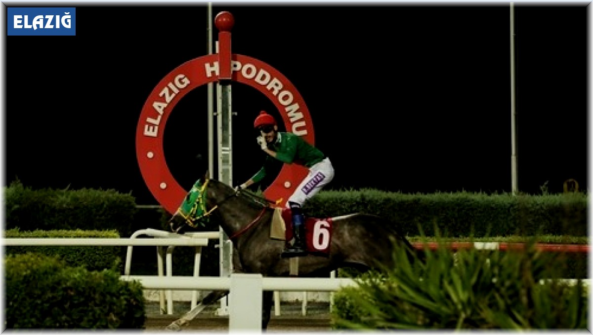 Prof. Dr. Mustafa Temizer Koşusunda kazanan Göbeklitepe Ağası oldu