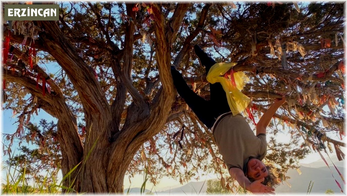 Profesörden orman yangınlarına karşı ilginç eylem: Dilek ağacına çaput yerine kendini bağladı