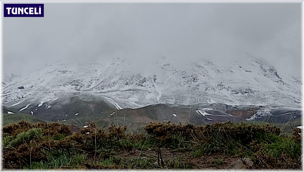 Pülümür'ün yüksek kesimleri beyaza büründü