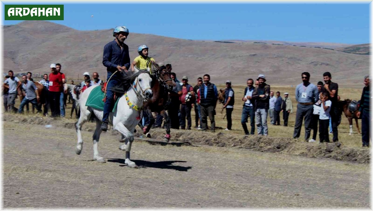 Rahvan at yarışlarına yoğun ilgi
