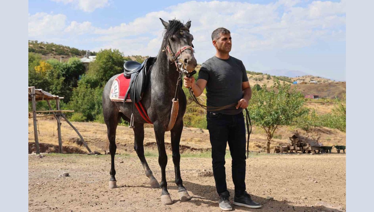 Rahvan atların yolculuğu: Orta Asya'dan Osmanlı'ya, bugün Palu'da