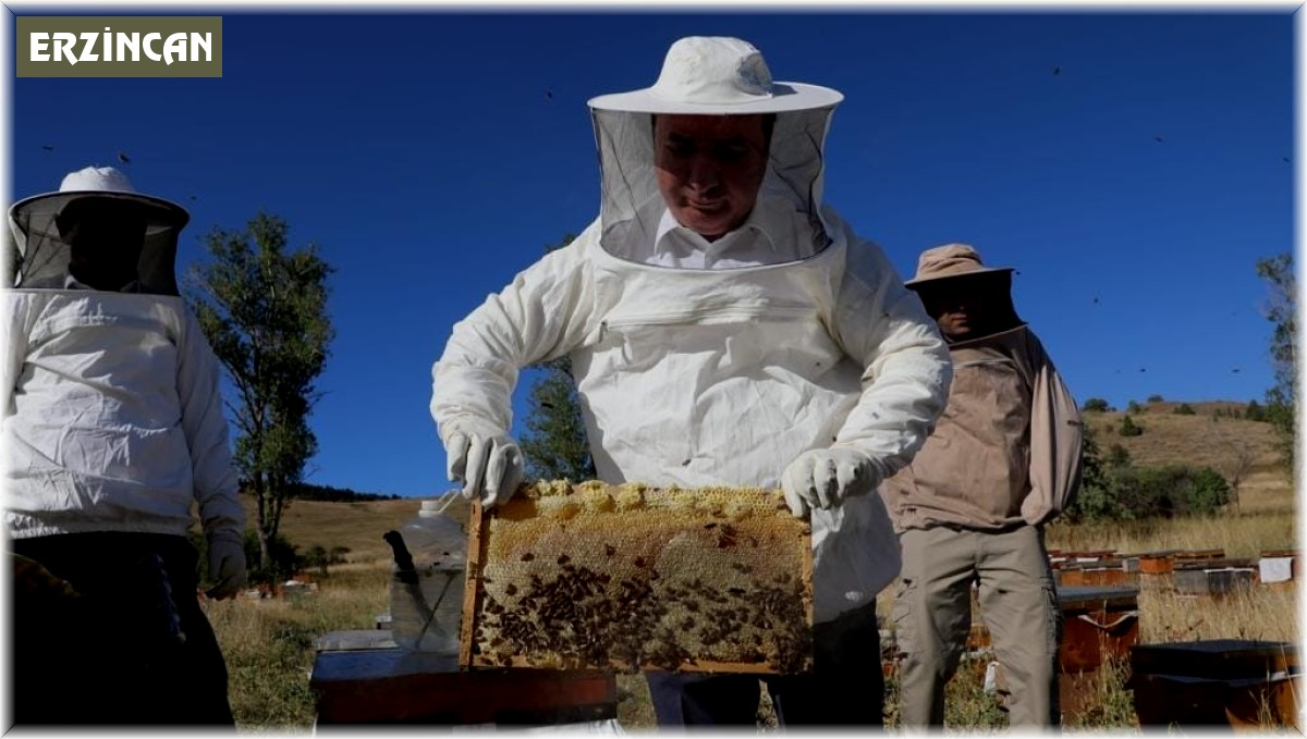 Refahiye'de bal hasadı başladı