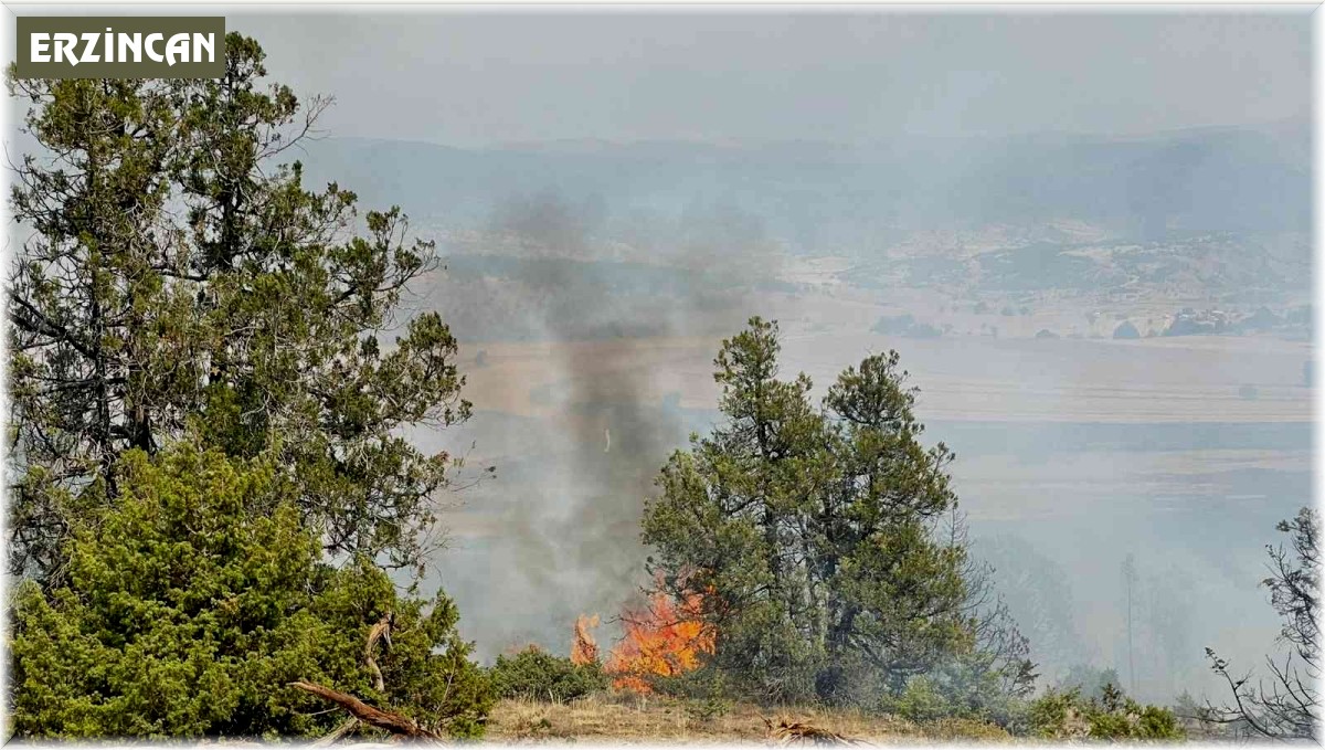 Refahiye'de ormanlık alanda yangın Erzincan Haberleri