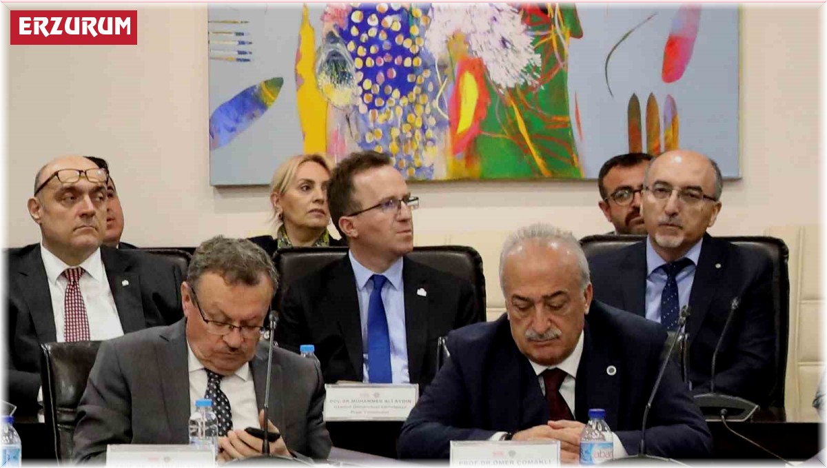 Rektör Çomaklı, araştırma üniversiteleri destek projesi toplantısına katıldı